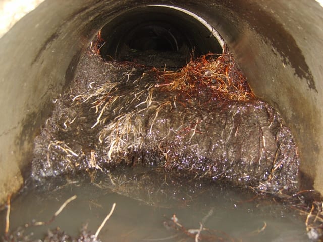 Sewer Camera Pic